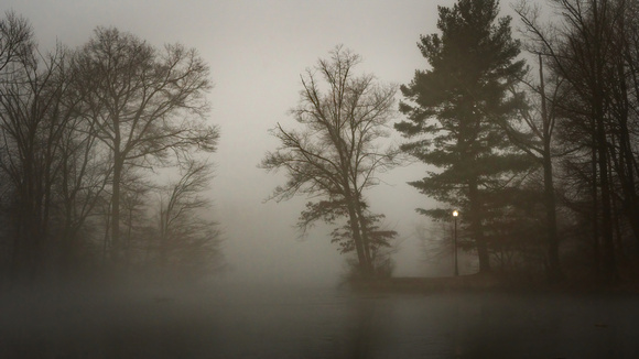 Verona Park Winter Fog