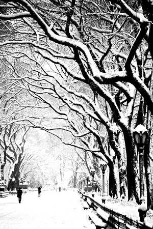 Poets' Walk Central Park